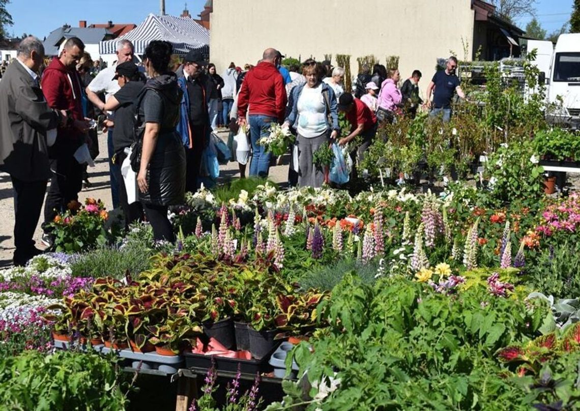 Święto Kwiatów i Krzewów w Sierakowicach. Do wyboru setki roślin na balkony i tarasy