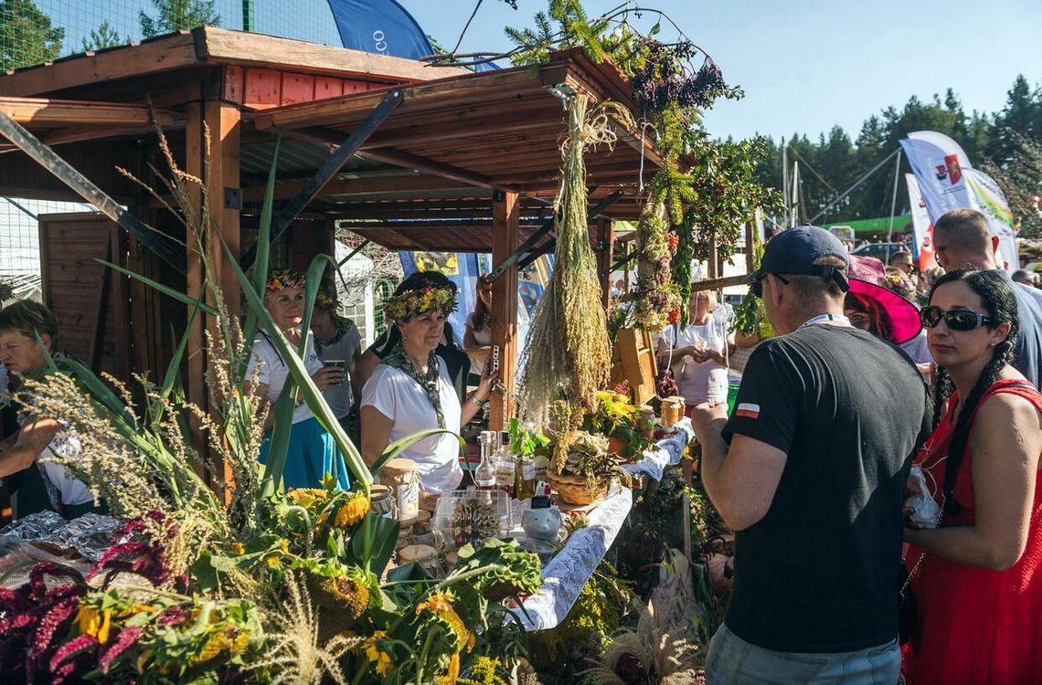 Święto Plonów w Owidzu. Czas pomyśleć o dożynkowych wieńcach