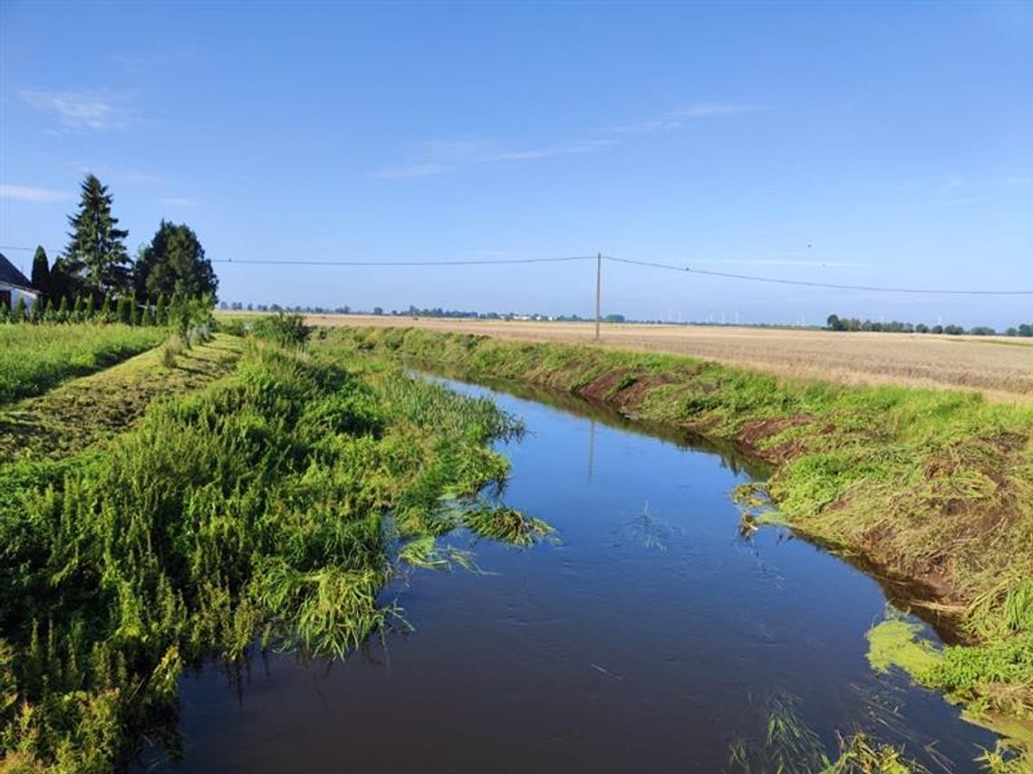 Ogromne straty po ulewach na Pomorzu. Rolnicy apelują o stan klęski żywiołowej Ogromne straty po ulewach na Pomorzu. Rolnicy apelują o stan klęski żywiołowej