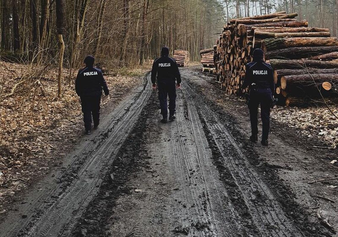 Tczew: Szukali w lesie psa, sami się zgubili. Odnaleźli ich policjanci
