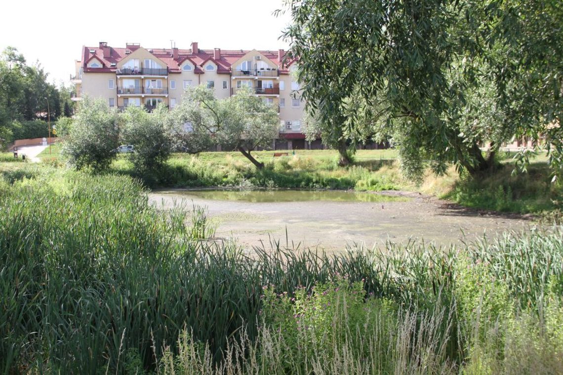 Tczew chce uratować oczko wodne na Piotrowie. Właśnie ogłoszono przetarg Tczew chce uratować oczko wodne na Piotrowie. Właśnie ogłoszono przetarg