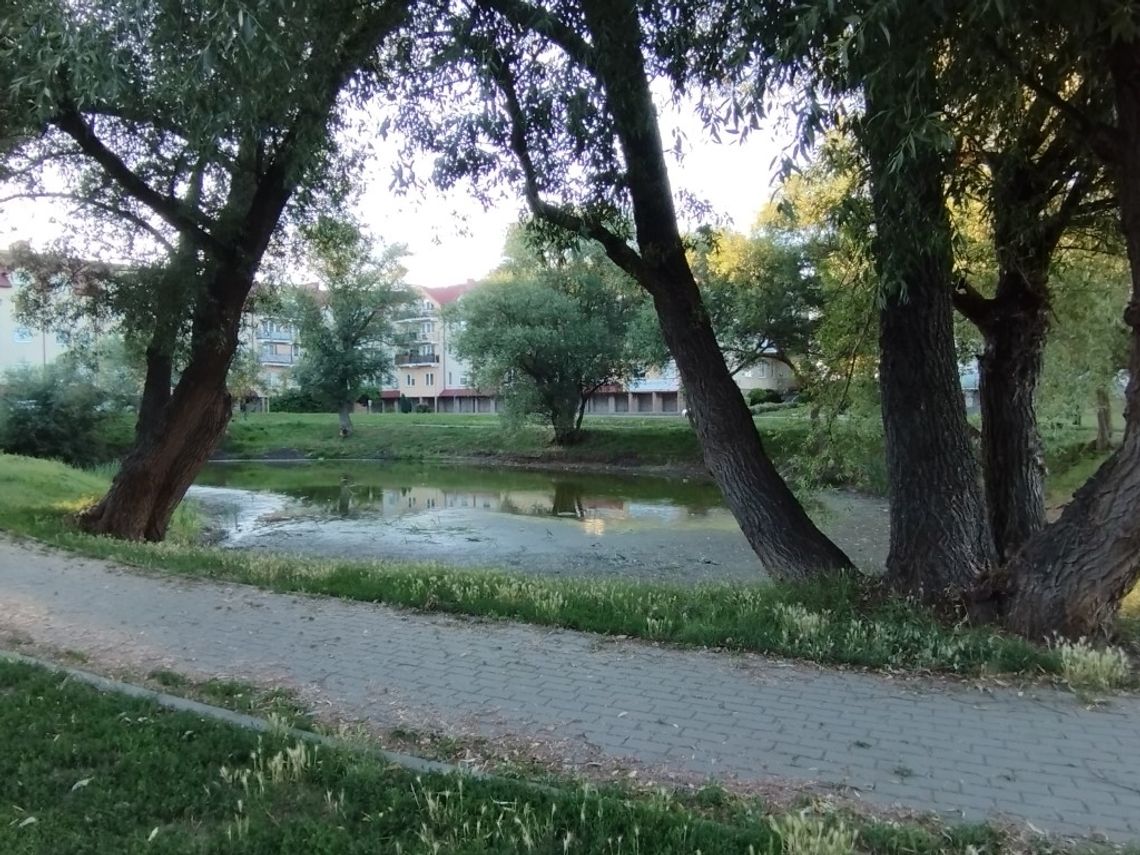Park Piotrowo w Tczewie