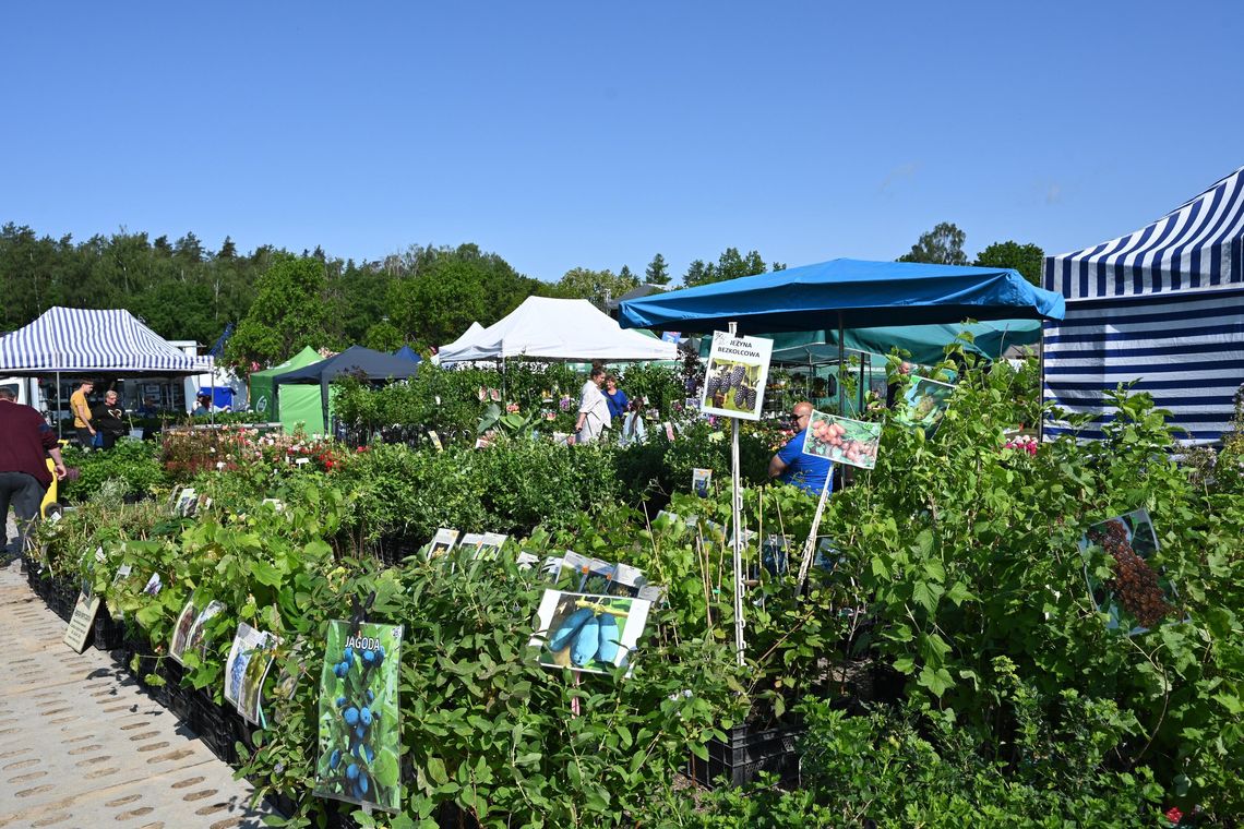 Tłumy w Lubaniu. Trwają Pomorskie Agro Targi