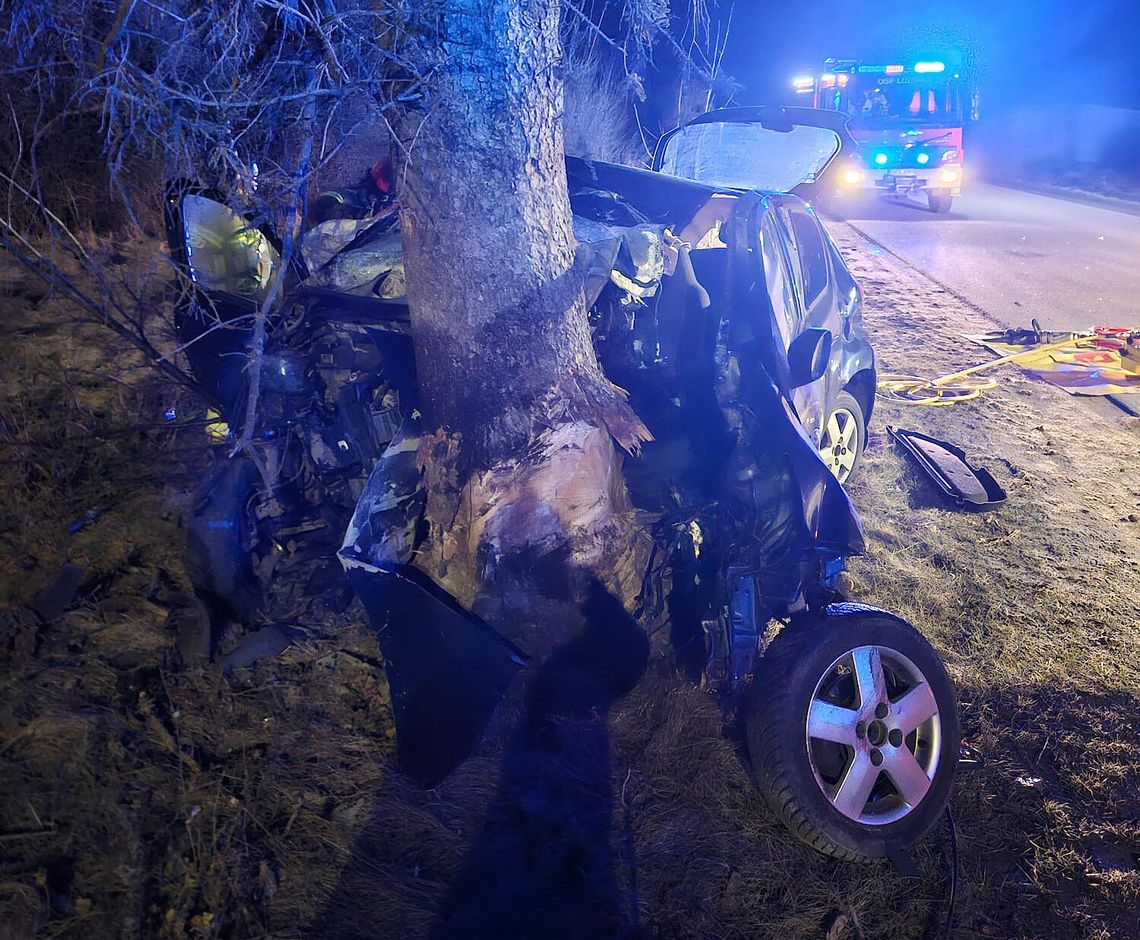 Tragiczny wypadek w Łubianie. 17-latek zginął po uderzeniu w drzewo Tragiczny wypadek w Łubianie. Nie żyje 17-latek