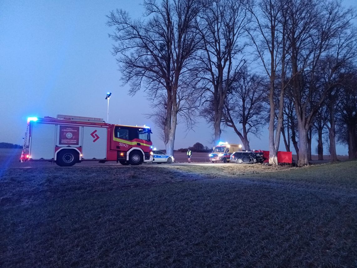 Tragiczne wypadki na Pomorzu. W Udorpiu i Żelistrzewie zginęły dwie osoby wypadek w Żelistrzewie w pow. puckim, straż pożarna w Żelistrzewie