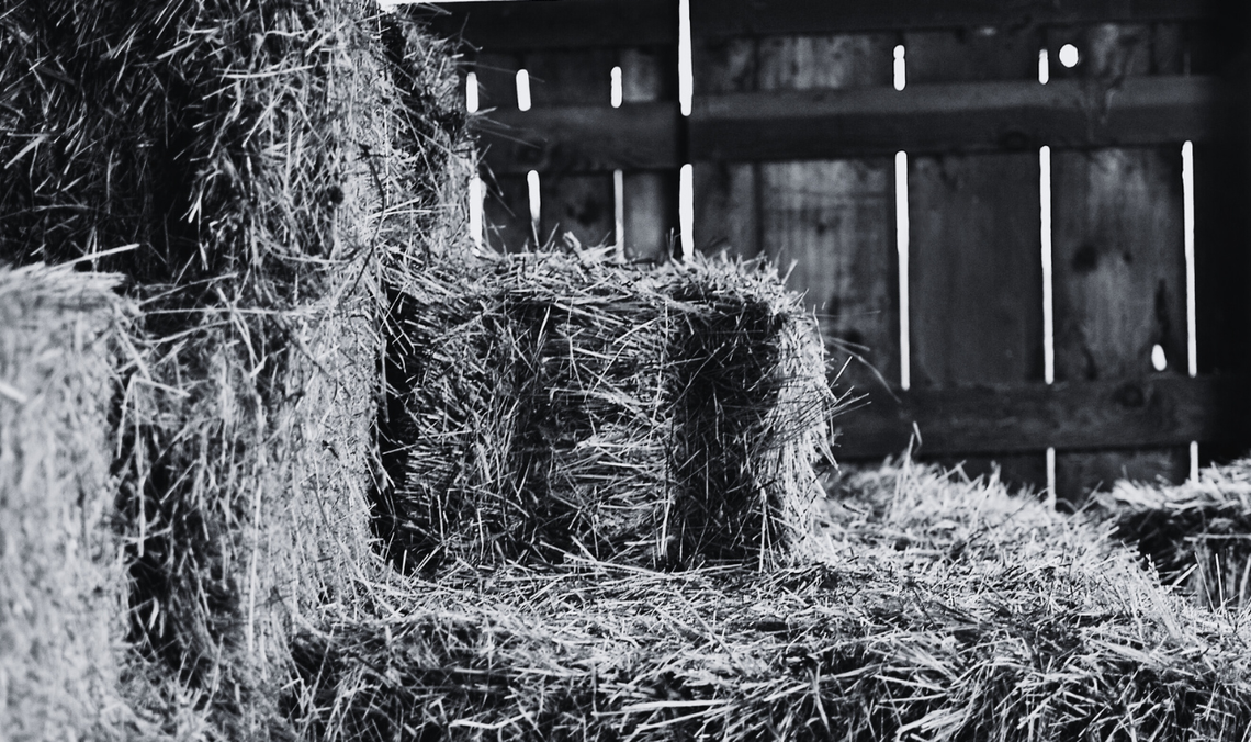 Tragiczny wypadek w Osławie Dąbrowej. Rolnik zginął przygnieciony balotem siana Tragiczny wypadek w Osławie Dąbrowej. Rolnik przygnieciony przez balot siana