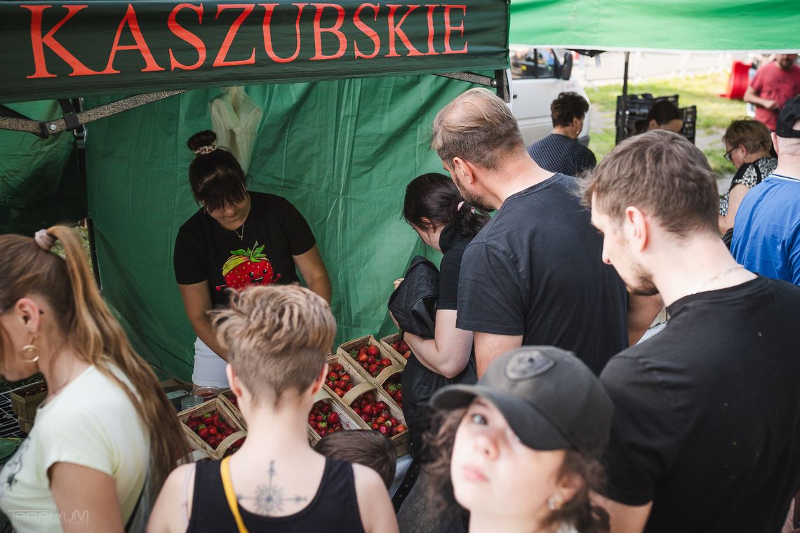 Truskawkobranie. Święto kaszubskiej truskawki pełne słońca i niesamowitych smaków