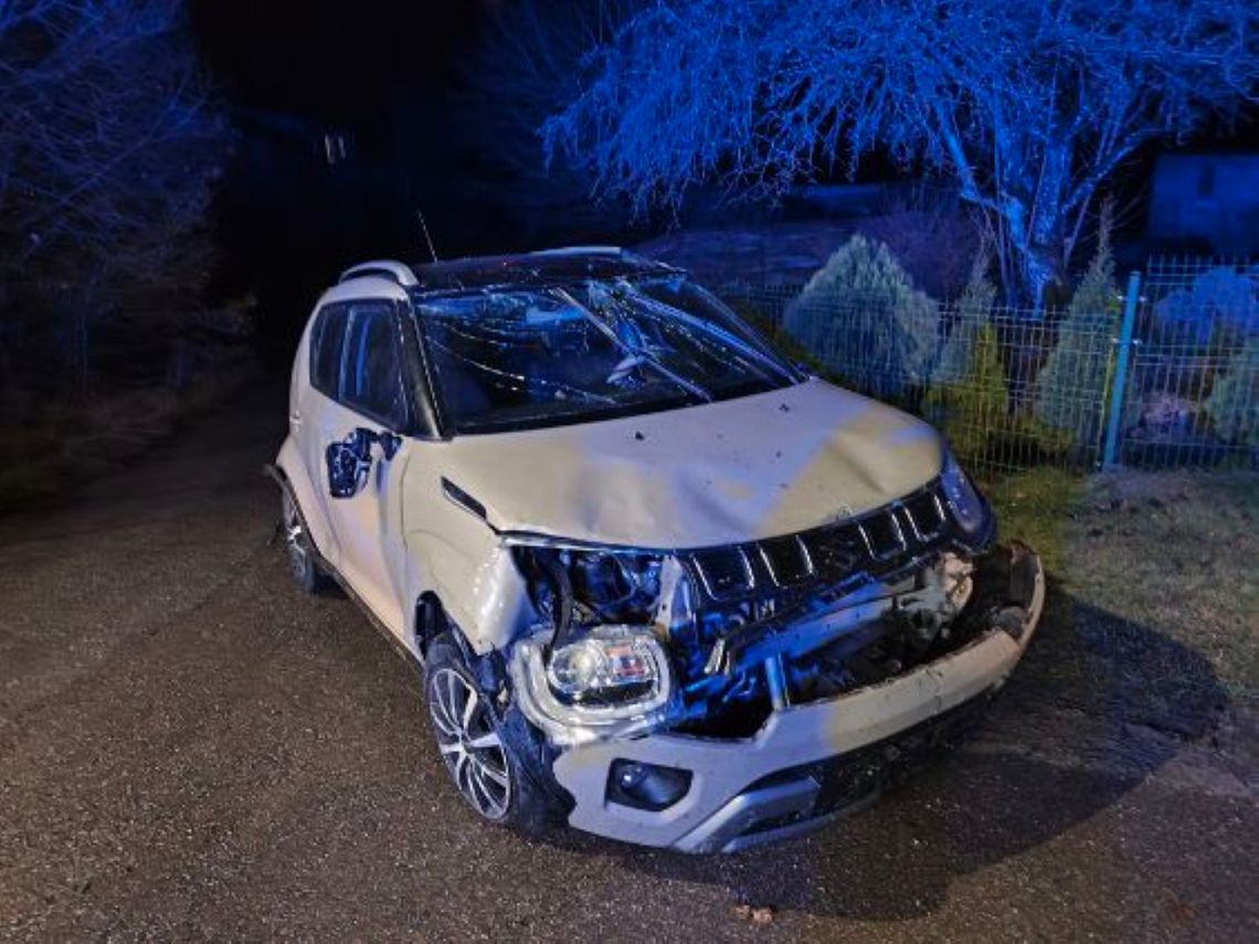 Trzy lata za trzy promile. Kompletnie pijana kobieta staranowała płot i dachowała Zagony: Kompletnie pijana kobieta staranowała płot i dachowała