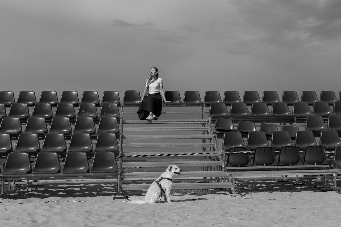 „Mój Gdańsk”, wystawa