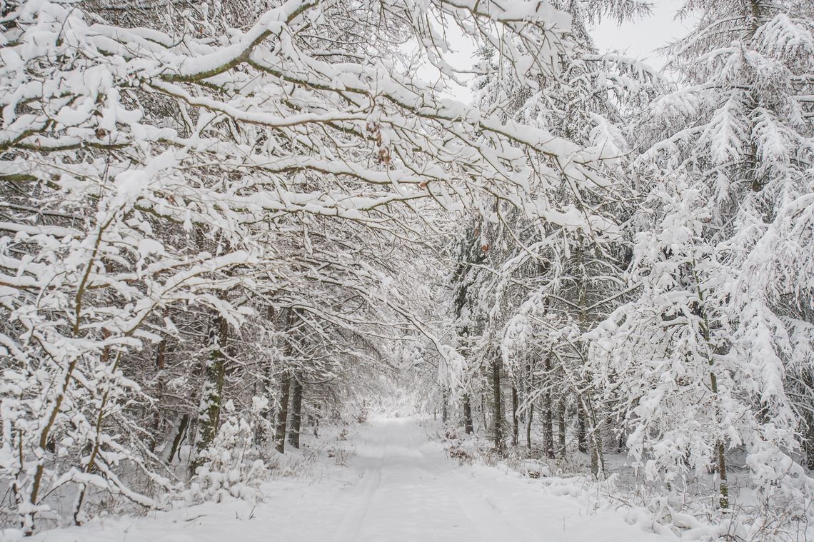 Uwaga! Na Pomorzu silne opady śniegu i porywisty wiatr. Głównie w powiatach bytowskim, lęborskim, puckim i słupskim