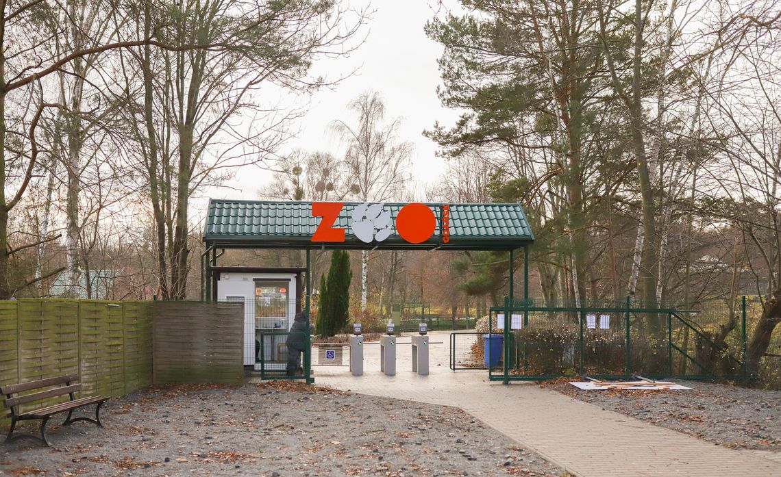 Uwaga na silny wiatr! W Gdańsku zamknięte cmentarze, zoo i Park Oliwski 