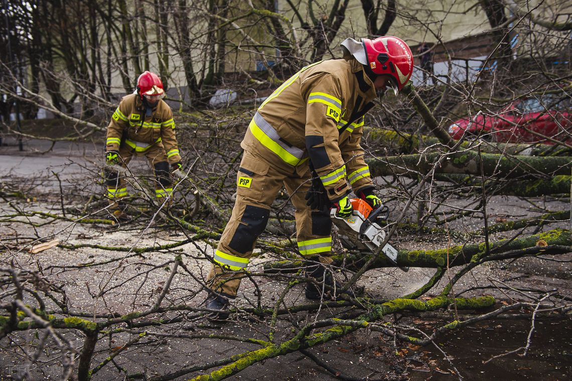 strażacy usuwają połamane drzewo