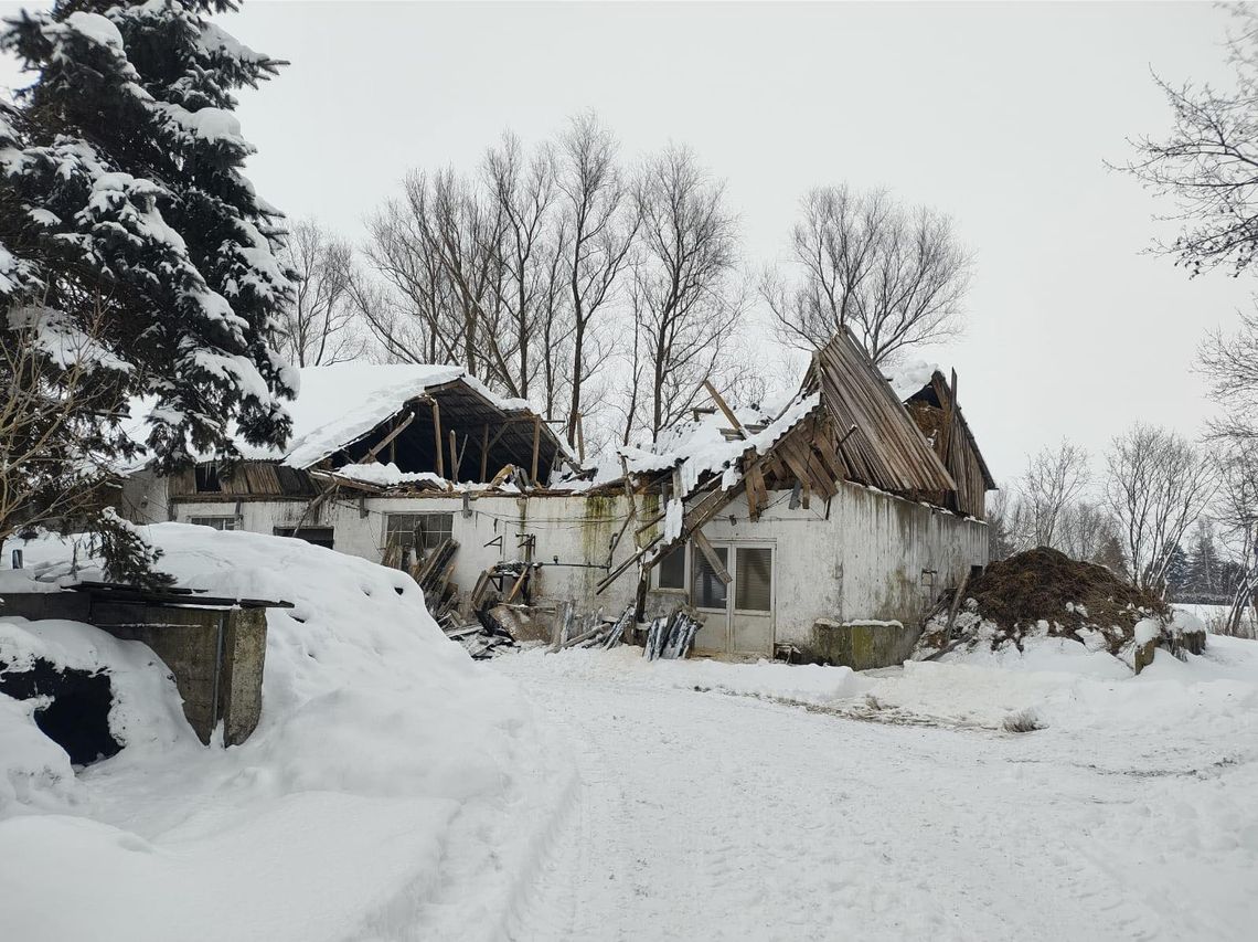 W Nowym Dworze Gdańskim zawalił się dach obory. Powodem zalegający śnieg