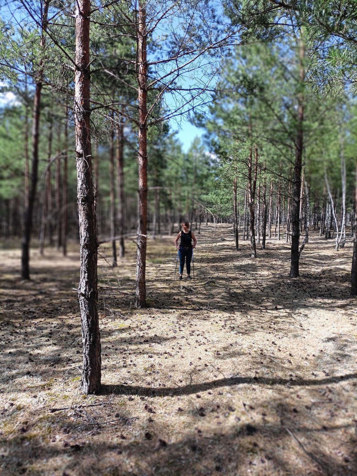 Majówka na łonie natury. Mamy na Pomorzu 168 tysięcy ha parków