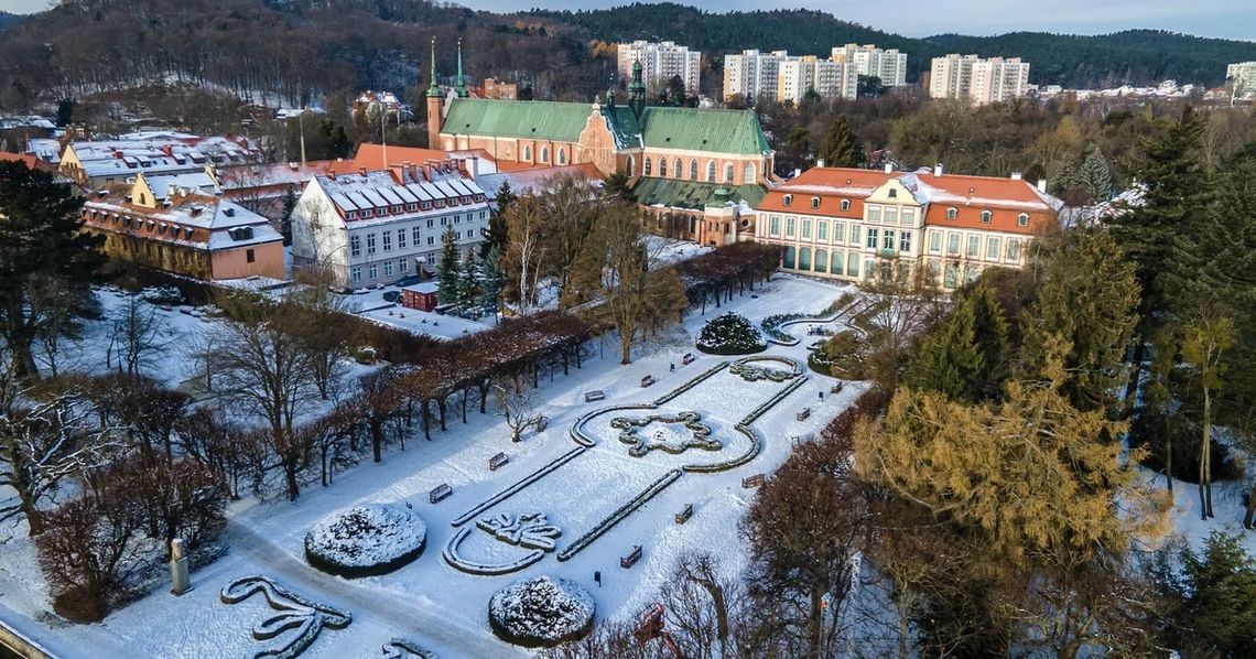 Wichura na Pomorzu. Zoo i cmentarze w Gdańsku już otwarte