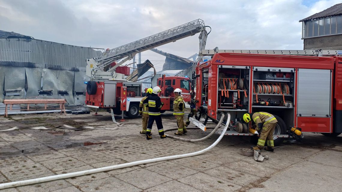 Wielki pożar kurnika w powiecie słupskim. W środku było 38 000 kur! pożar kurnika w Objeździe