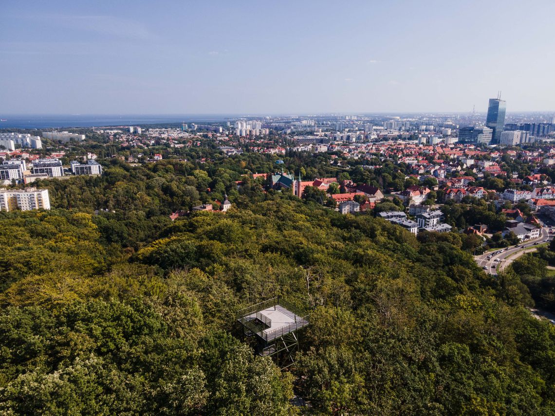 Wieża widokowa Pachołek znów otwarta. Można podziwiać panoramę Gdańska