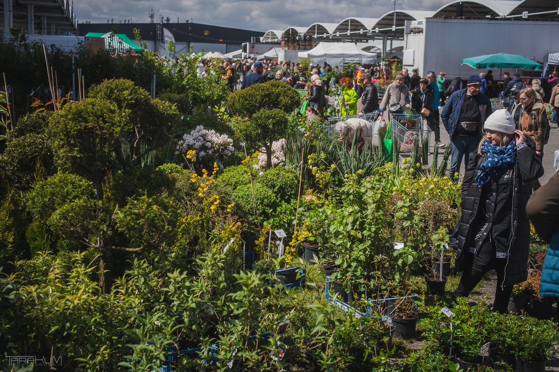 Wiosna w ogrodzie, czyli tradycyjny kiermasz w gdańskim centrum Rënk