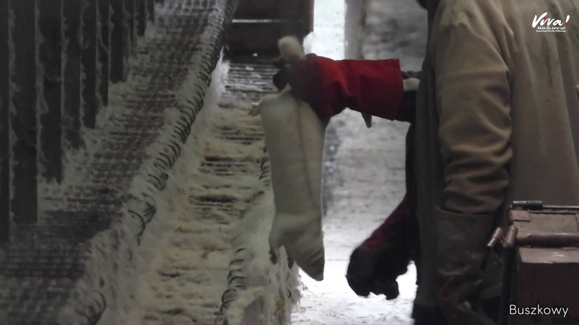 Fermy norek na Kaszubach: Sąd uniewinnił właścicieli