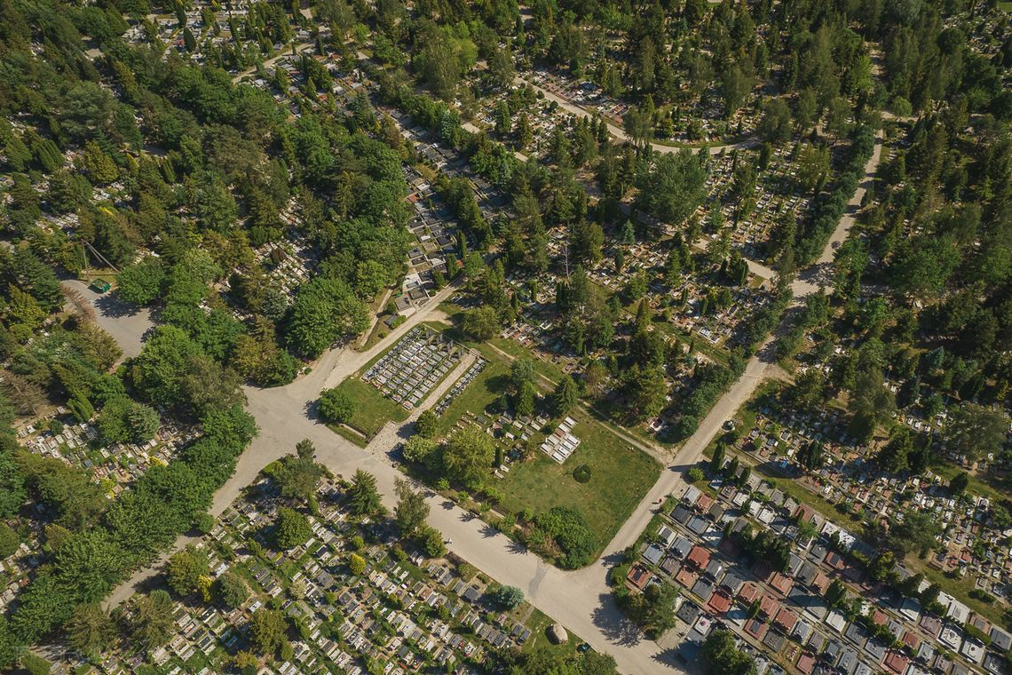 Wszystkich Świętych 2025 w Gdańsku. Zmiany w organizacji ruchu przy cmentarzach Wszystkich Świętych 2025 w Gdańsku. Zmiany w organizacji ruchu przy cmentarzach