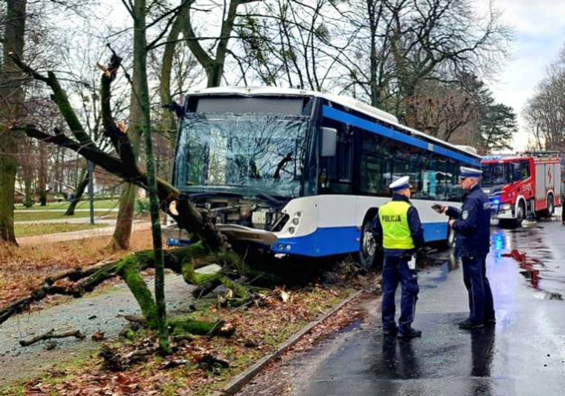 Wypadek autobusu w Sopocie. Kierowca zasłabł i uderzył w drzewo