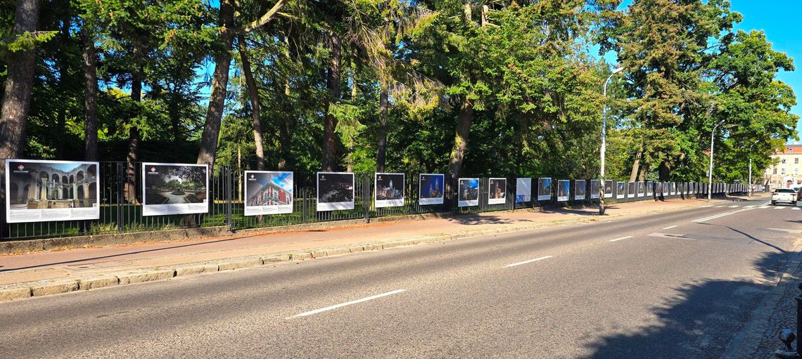 Meksyk pokaże skarby swojej kultury w Oliwie. Wystawa w Oliwskim Ratuszu Kultury