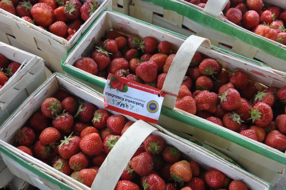 X Festiwal Truskawek Kaszubskich w Chmielnie z biciem rekordu na najdłuższą w Polsce tartę
