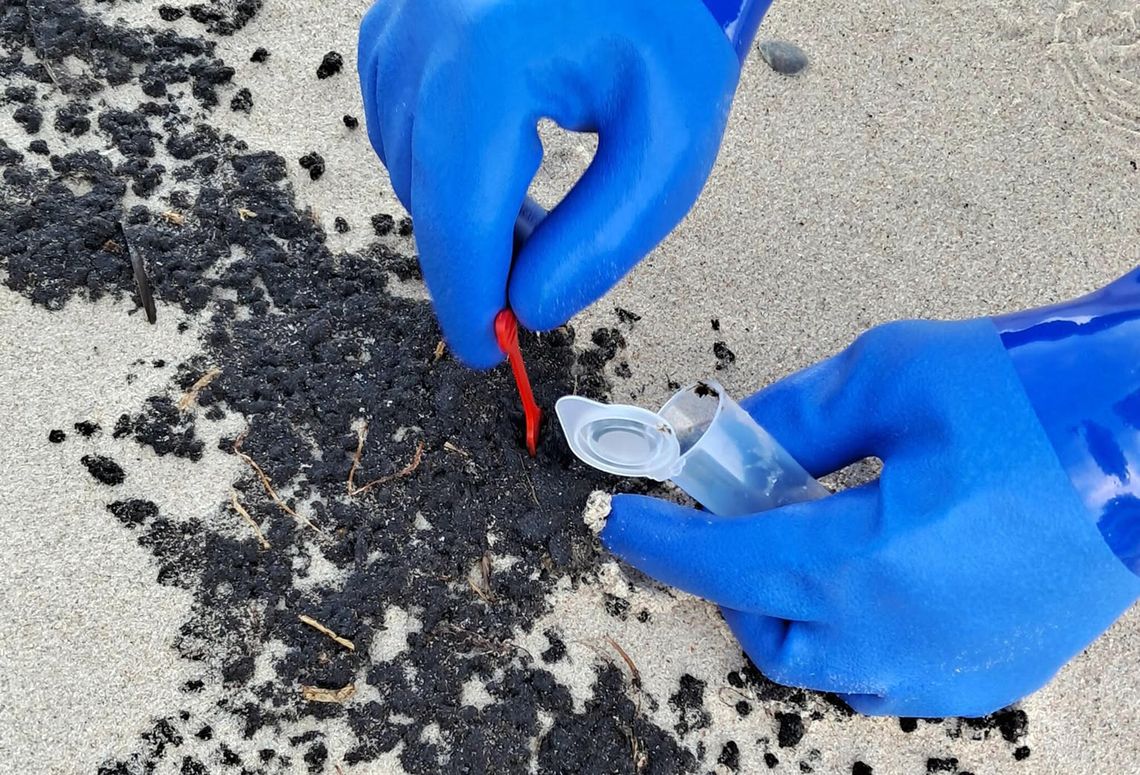 Zakończono usuwanie podejrzanej substancji z plaż. Sprawcy zanieczyszczenia nie wykryto Zakończono usuwanie podejrzanej substancji z plaż. Sprawcy zanieczyszczenia nie wykryto