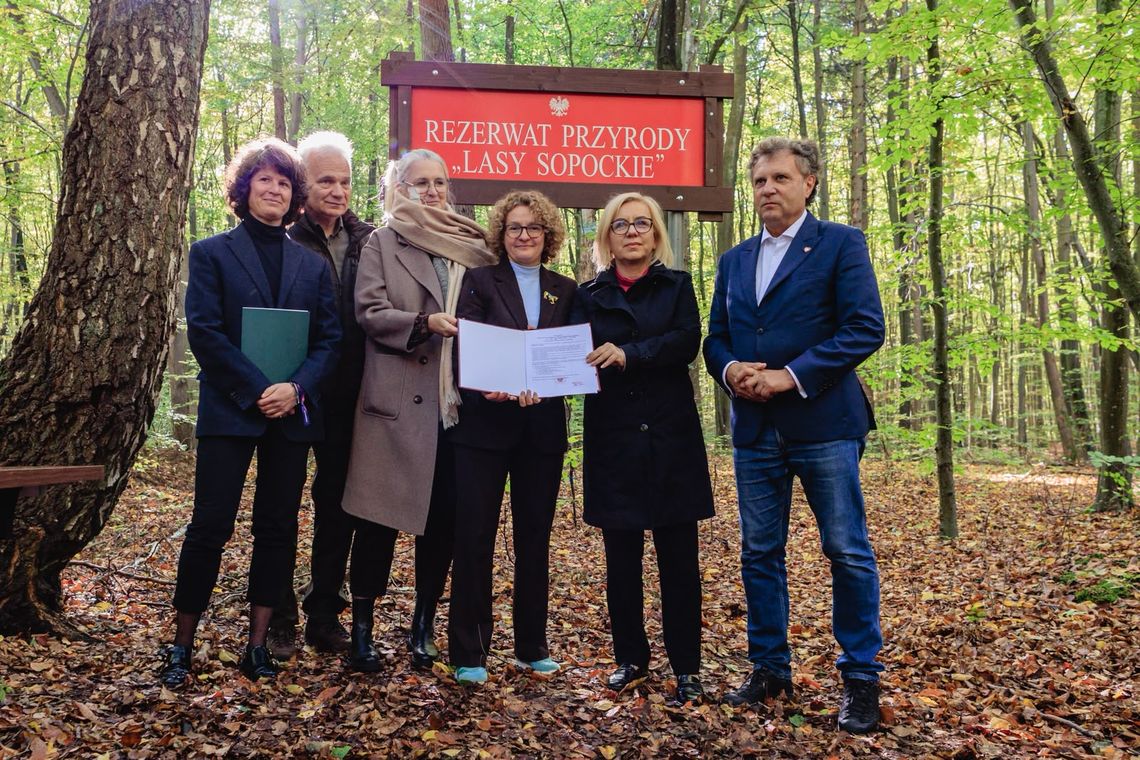 Zapadła kluczowa decyzja ws. lasów w Sopocie. Koniec wycinek i ograniczenia Powstał rezerwat "Sopockie Lasy". Ponad 140 hektarów lasów pod ochroną