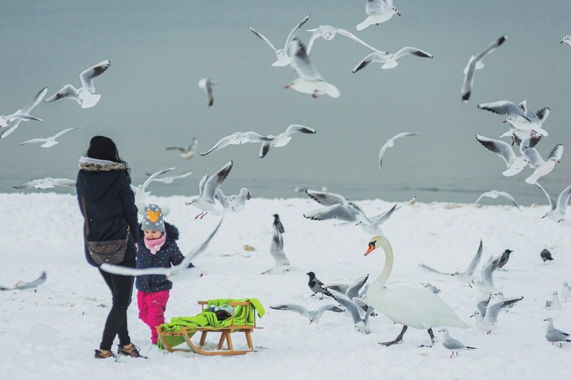 „Zawsze Pomorze” na zimę! Czas na dobry film, sanki albo narty