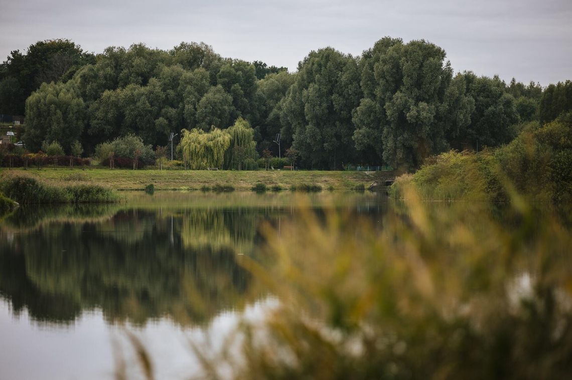 Zielona enklawa na południu Gdańska. Umowa na projekt Parku Południowego podpisana