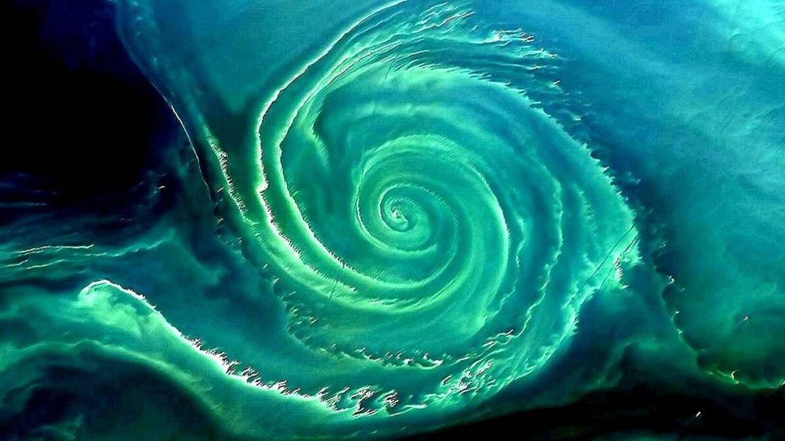 zielony wir na Bałtyku,  satelita Landsat-8
