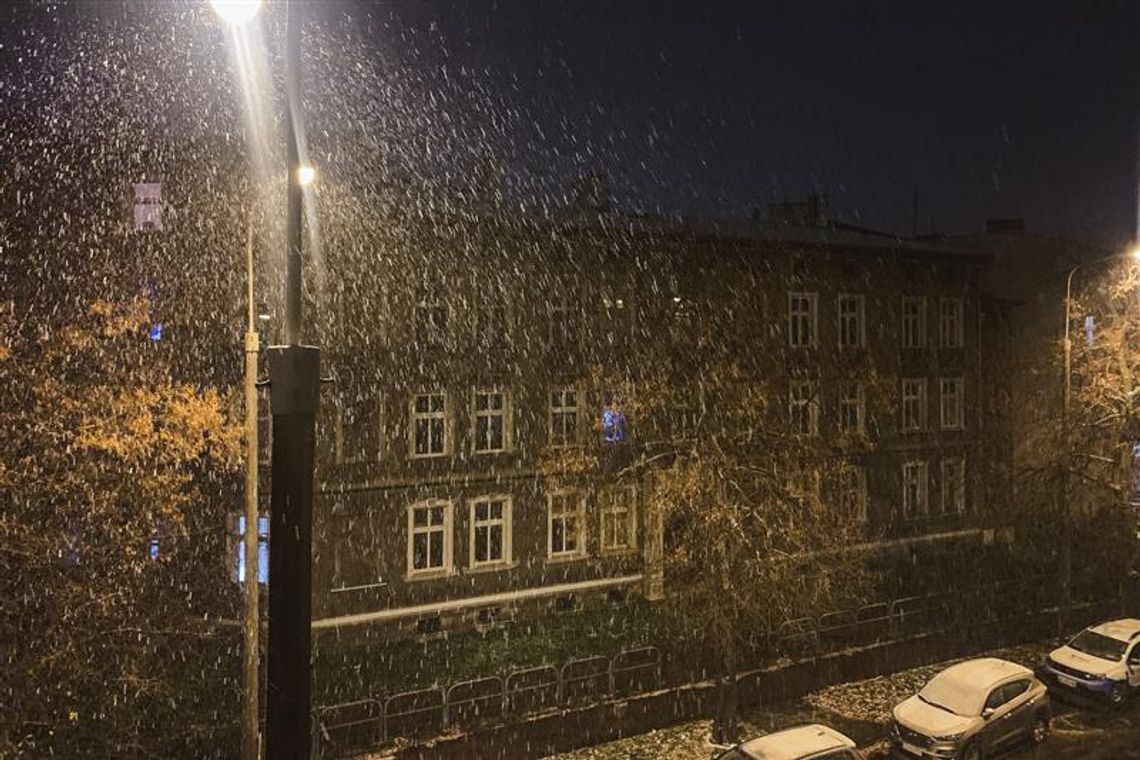 Zima już w listopadzie? W nocy w Gdańsku spadł pierwszy śnieg