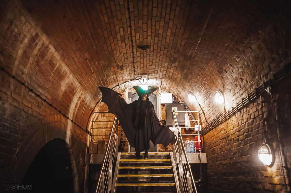 Święto Nietoperzy w Zbiorniku Wody Stara Orunia