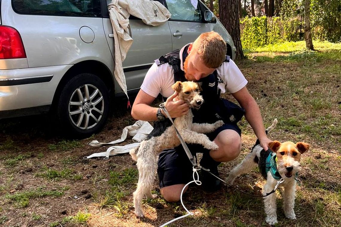 Zostawił psy w nagrzanym samochodzie. Bez wody i jedzenia