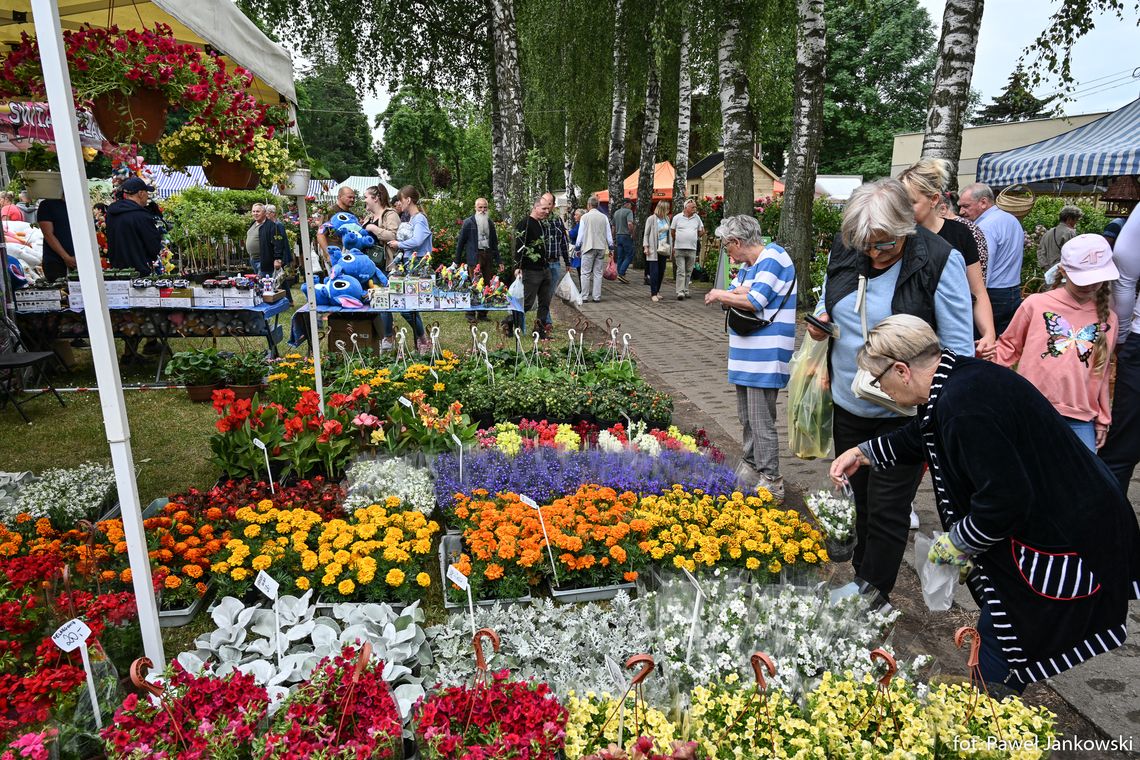 Żuławskie Targi Ogrodnicze w Starym Polu. Wszystko, co potrzeba do ogrodu