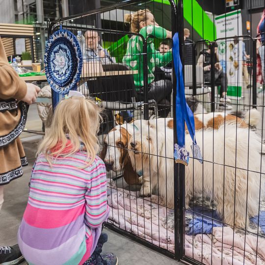 ZOO Festiwal w Gdańsku po raz drugi