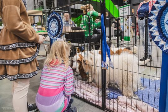 ZOO Festiwal, Gdańsk 2024