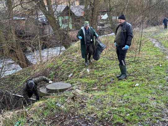 sprzątanie Wietcisy w Skarszewach, 2024