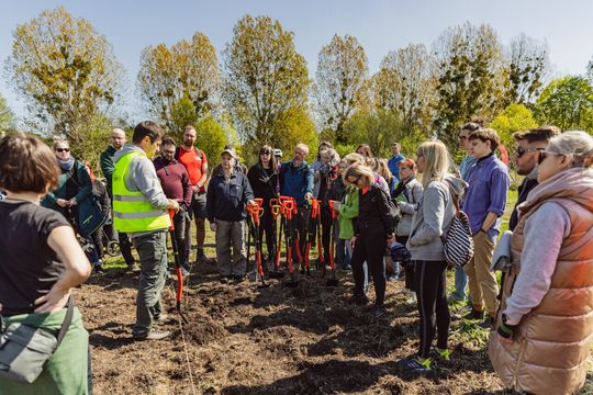 sadzenie lasu na Zaspie, Gdańsk 2024