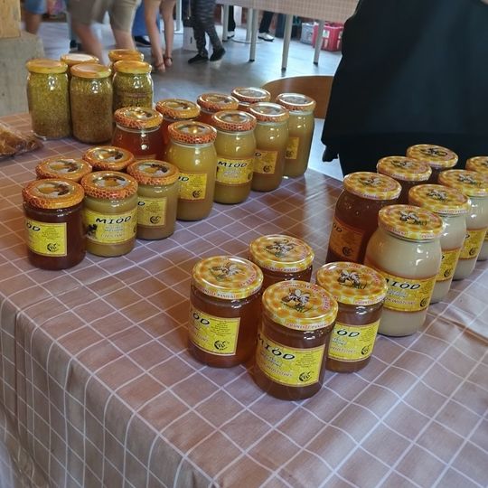 Dobry Targ, Oklaski Stanisławie 2023