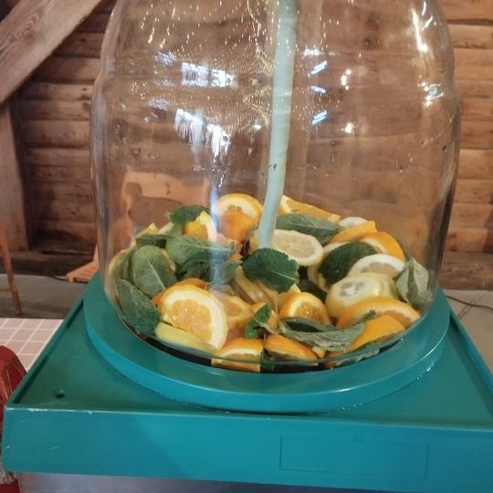 Dobry Targ, Oklaski Stanisławie 2023