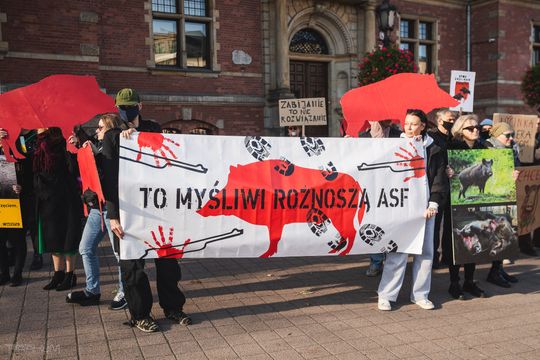 protest w obronie dzików, Gdańsk 2024