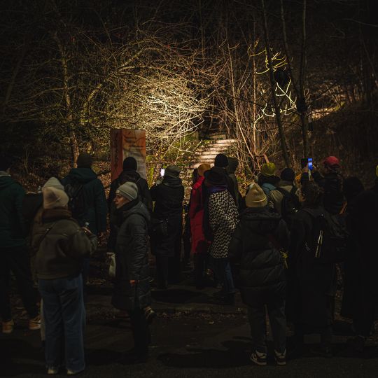 Narracje, Niedźwiednik, Gdańsk 2024