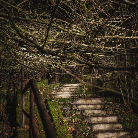 Narracje, Niedźwiednik, Gdańsk 2024