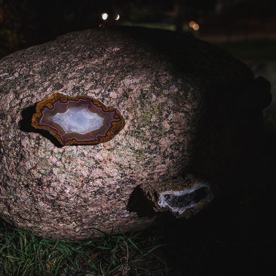 Narracje, Niedźwiednik, Gdańsk 2024