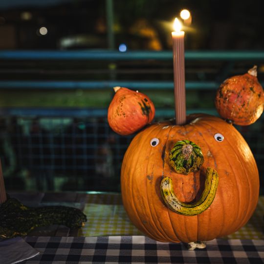 Narracje, Niedźwiednik, Gdańsk 2024