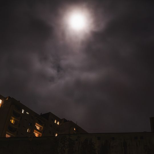 Narracje, Niedźwiednik, Gdańsk 2024