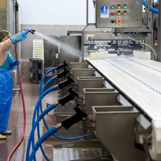 przetwórstwo ryb, Graal