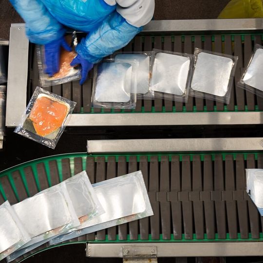 przetwórstwo ryb, Graal